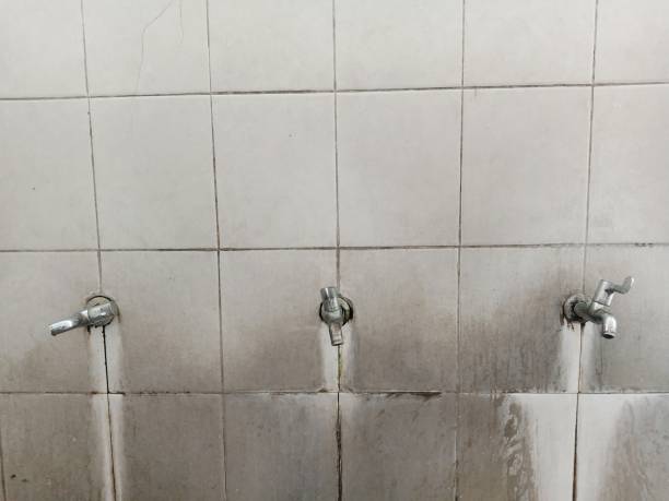 Best Water damage repair service  in Mart, TX