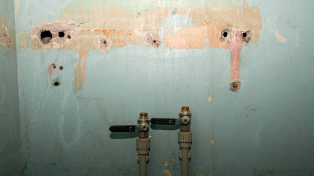 Best Flood damage cleanup  in Mart, TX