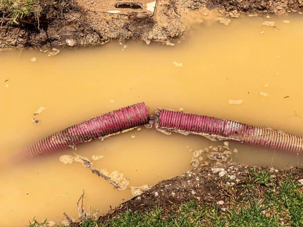 Best Professional water damage repair  in Mart, TX